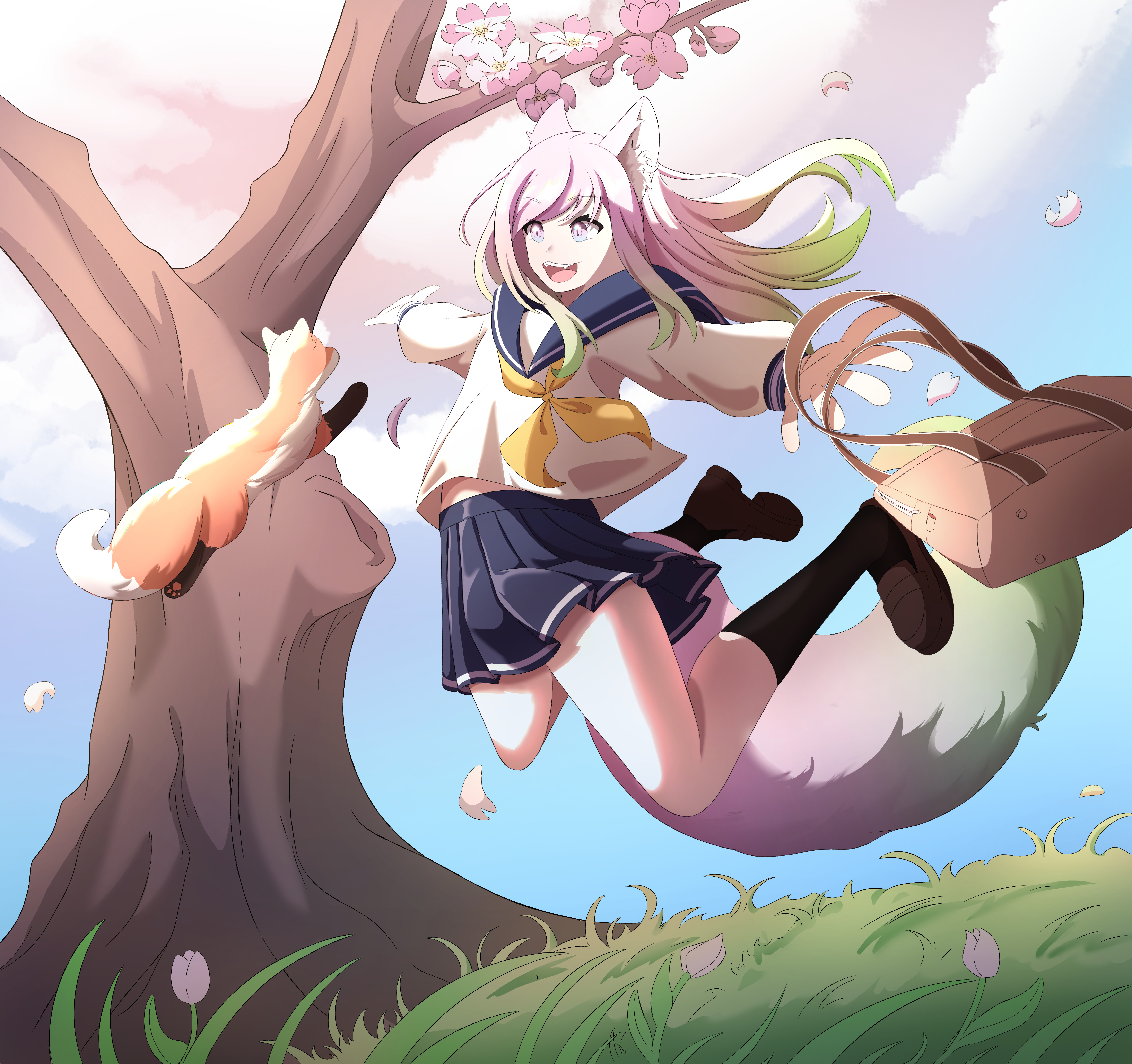 이미지게시글 이미지